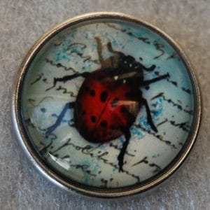 Click - Dier Lieveheersbeestje  (18-20mm)