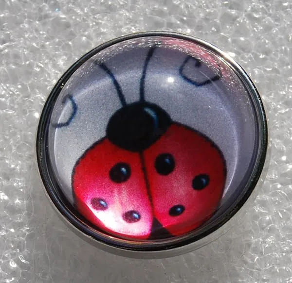Click - Dier, Lieveheersbeestje  (18-20mm)