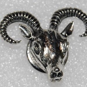 Click - Dier, Steenbok  (18-20mm)