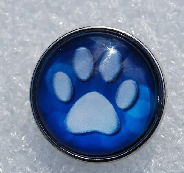 Click - Glas, Hond, Kat  Blauw (18-20mm)