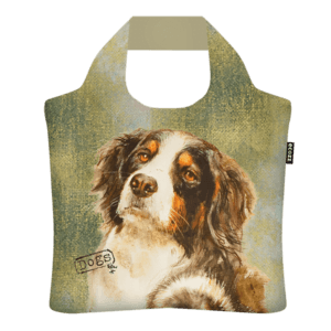 Ecozz - Benner Sennen Dog