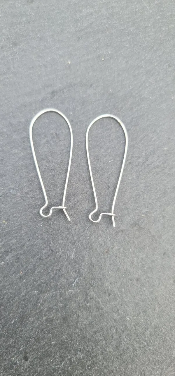 Oorbelhangers RVS