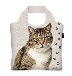 Ecozz - Mister Cat - Studio Onszelf