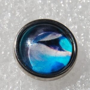 Click - Dier, Dolfijn (12mm)